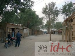 胡杨林中的“达理雅博依”