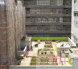 香港“魅笔生城”入选2012威尼斯建筑双年展5强