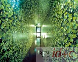 秩序何以形成?————吸毒者康复中心的启示