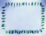 植物画框的素材图片013