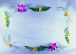 植物画框的素材图片022
