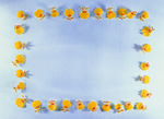 植物画框的素材图片027