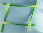 植物画框的素材图片032