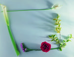 植物画框的素材图片033