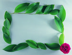 植物画框的素材图片034