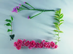 植物画框的素材图片035
