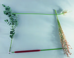 植物画框的素材图片036