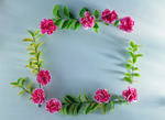 植物画框的素材图片037