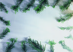 植物画框的素材图片039