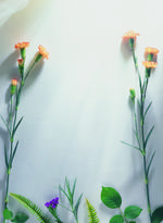 植物画框的素材图片050