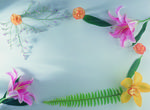 植物画框的素材图片055