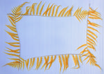 植物画框的素材图片077