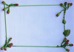 植物画框的素材图片078