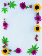 植物画框的素材图片093