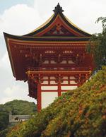 亚洲建筑风景素材图片
点击下载清晰例图