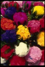 墨西哥建筑风景素材图片016