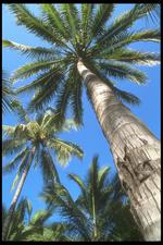 墨西哥建筑风景素材图片001