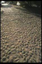 墨西哥建筑风景素材图片003