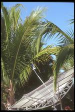 墨西哥建筑风景素材图片006