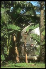 墨西哥建筑风景素材图片011