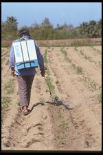 墨西哥建筑风景素材图片025