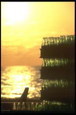 墨西哥建筑风景素材图片068