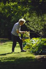 运动的素材图片798h