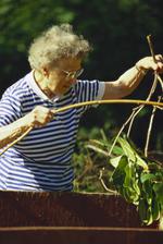 运动的素材图片801h