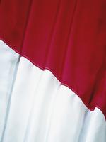 国旗的素材图片374h