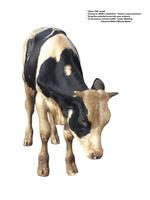 各种动物的图片_008