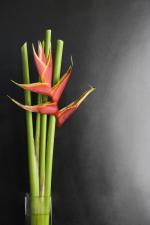 室内软装饰效果图_24325682