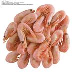 各种食物图片素材_095