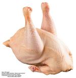 各种食物的素材图片_001