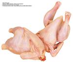 各种食物的素材图片_002