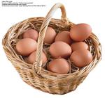 各种食物的素材图片_013