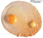 各种食物的素材图片_018