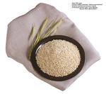 各种食物的素材图片_081