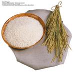 各种食物的素材图片_082