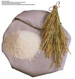 各种食物的素材图片_083