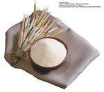 各种食物的素材图片_085