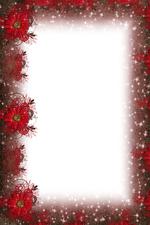 画框及相框素材_Frame-8116