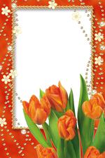 画框及相框素材_Frame-8132