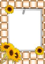 画框及相框素材_Frame-8173