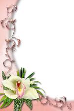 画框及相框素材_Frame-8177