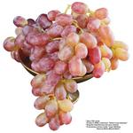 各种水果的素材图片_023