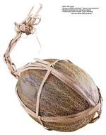 各种水果的素材图片_040