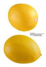 各种水果的素材图片_041