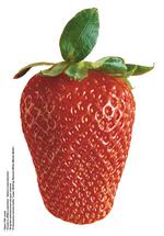 各种水果的素材图片_048