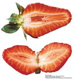 各种水果的素材图片_050