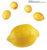 各种水果的素材图片_056